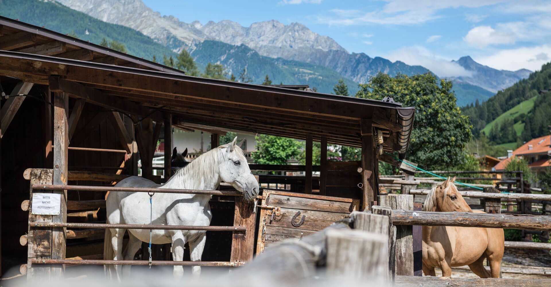 reiturlaub-suedtirol