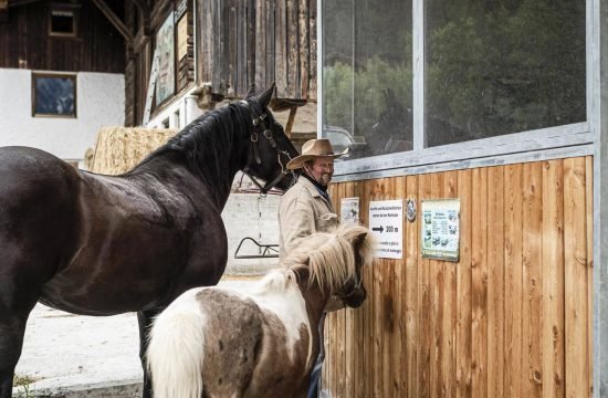 tiere-am-maurlechnhof-ahrntal-(7)