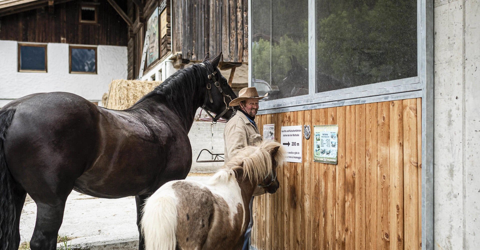 Tiere am Bauernhof Ahrntal - Südtirol