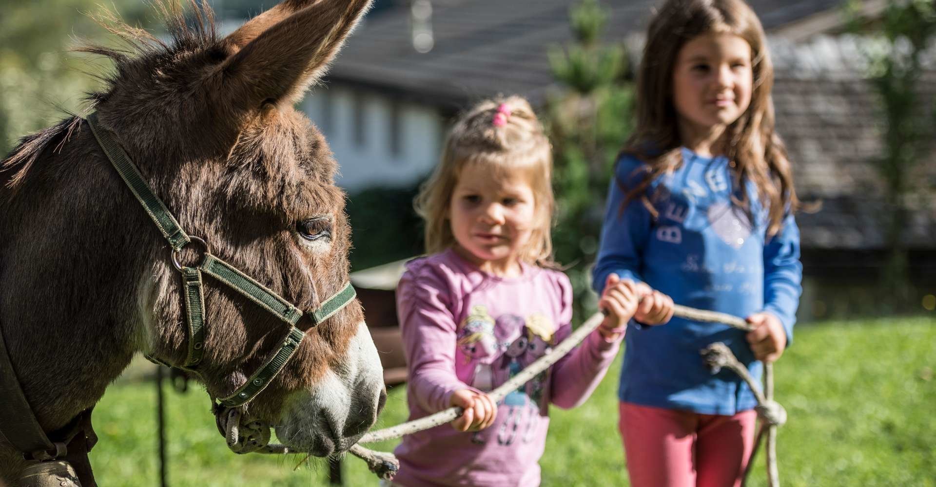 urlaub-auf-dem-reiterhof-suedtirol