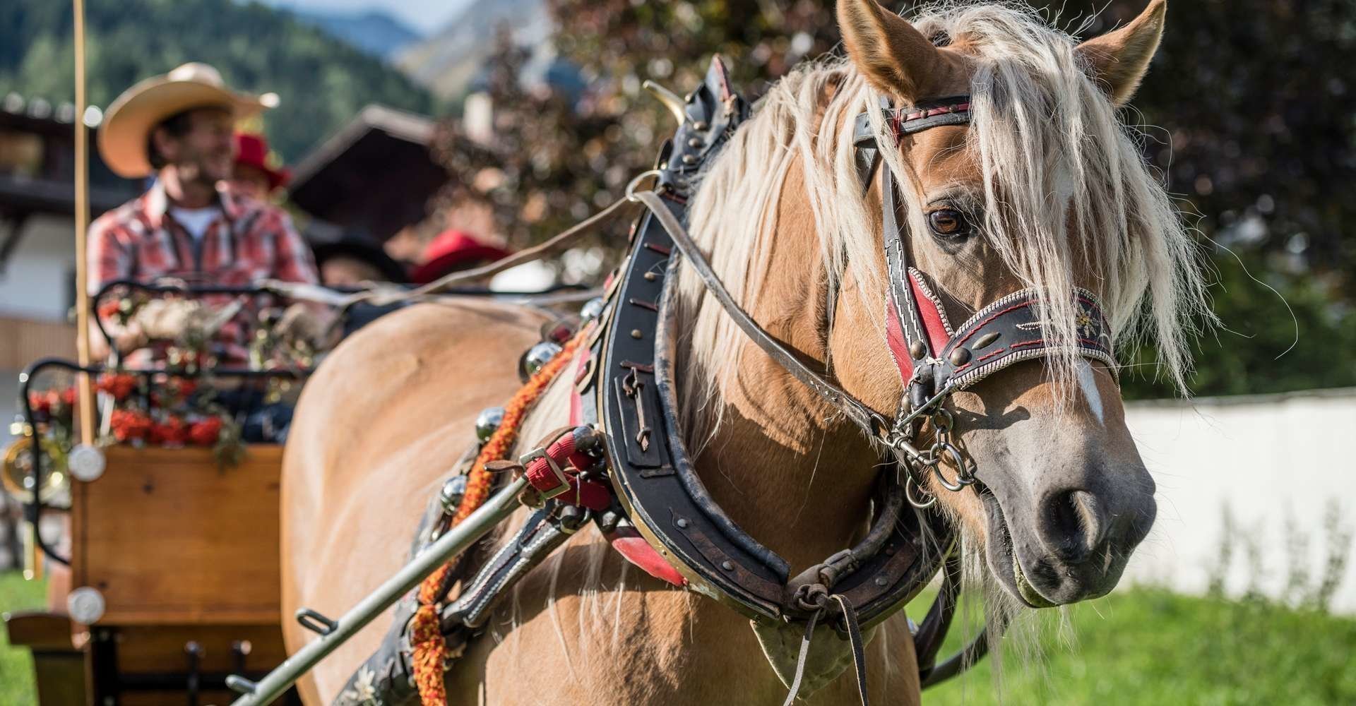 urlaub-auf-dem-reiterhof-suedtirol