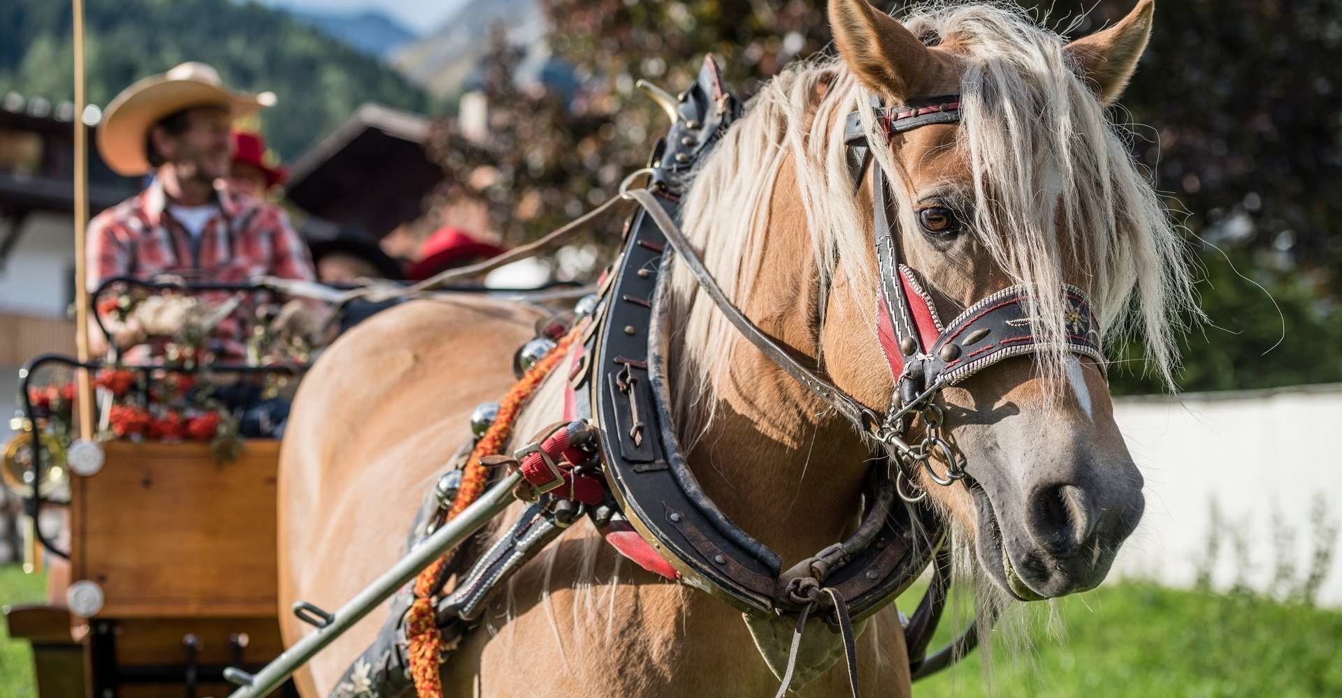 urlaub-auf-dem-reiterhof-suedtirol