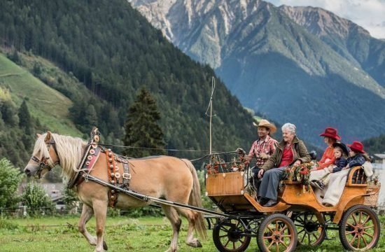 urlaub-auf-dem-reiterhof-suedtirol-kutschfahrten (2)