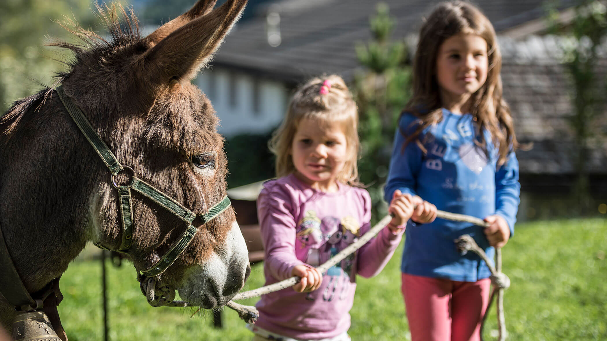 Zwei junge Mädchen halten ein Seil und führen einen Esel an einem sonnigen Tag mit grünem Gras und Häusern im Hintergrund nach draußen. - Maurlechnhof