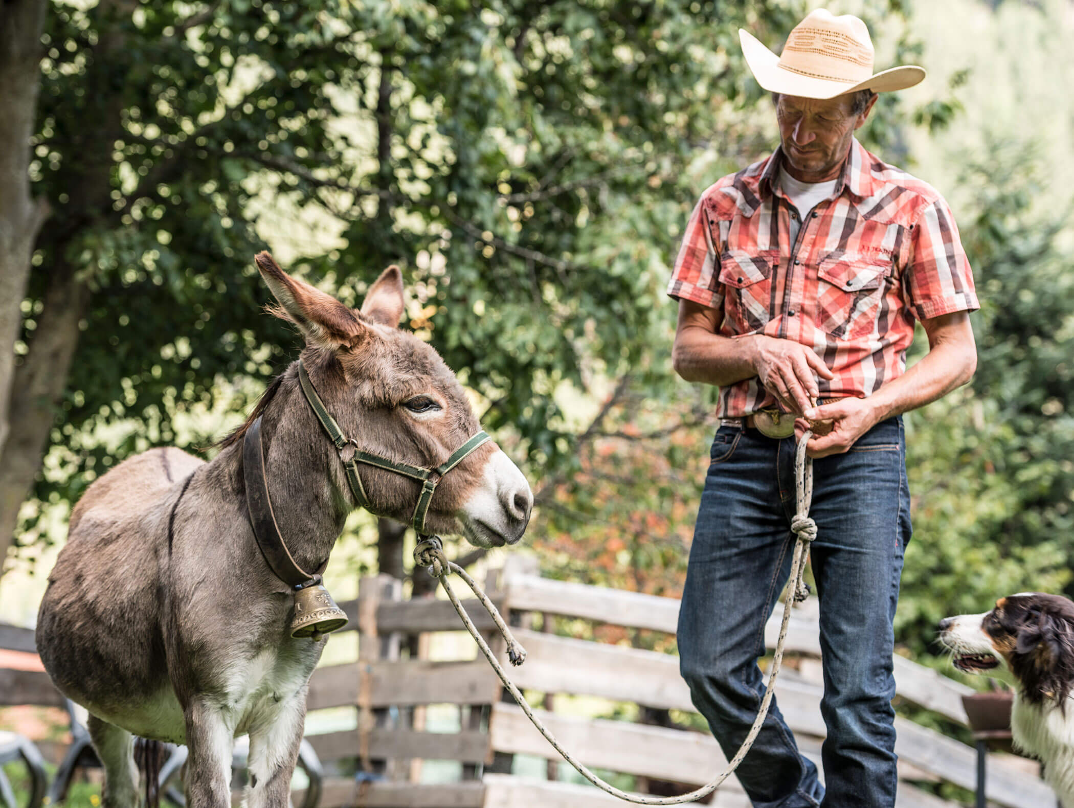 Mann mit Cowboyhut, der ein Eselsseil hält, steht im Freien an einem Zaun und hat einen Hund dabei. - Maurlechnhof