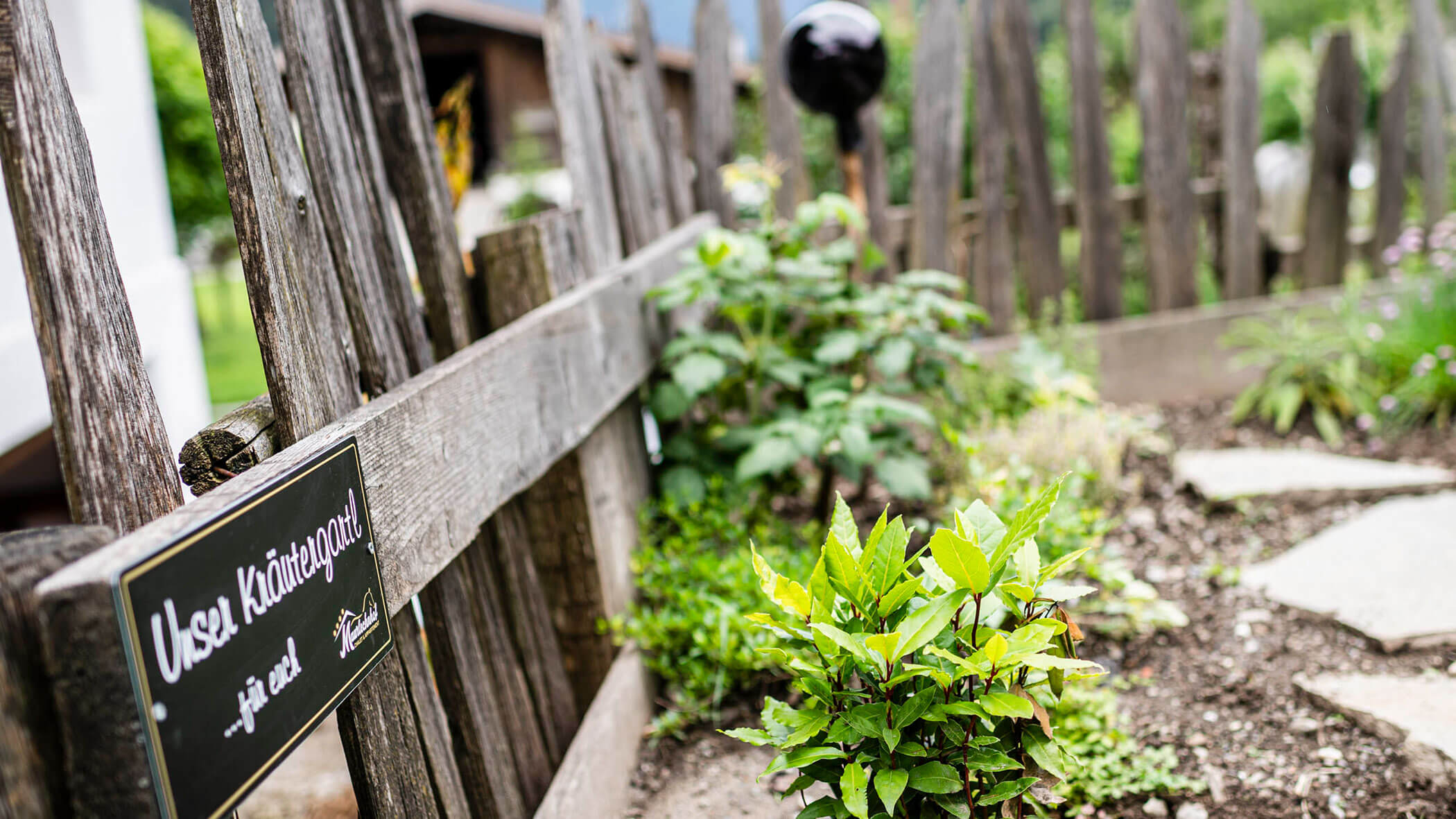 Ein kleiner Garten mit Grünpflanzen, ein rustikaler Holzzaun und ein Schild mit der Aufschrift Unser Kräutergarten. - Maurlechnhof