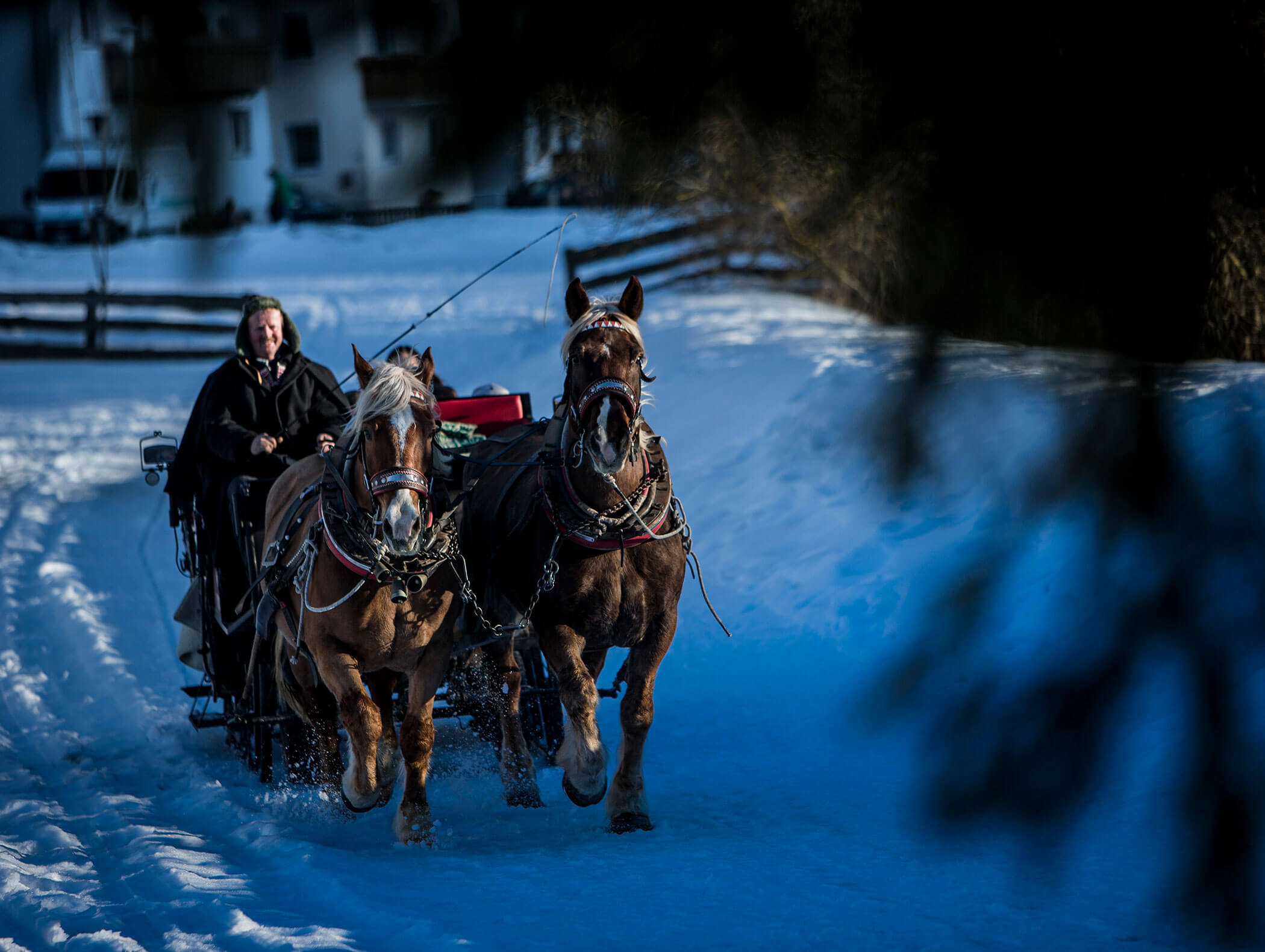 Zwei Pferde ziehen einen Schlitten mit einem dick eingepackten Fahrer durch eine verschneite Landschaft an einem sonnigen Tag. - Maurlechnhof